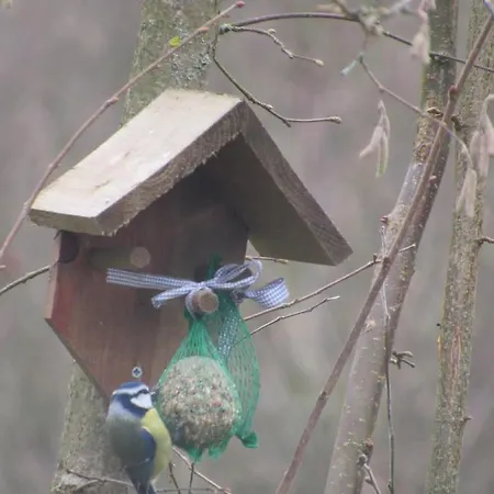 Ferienhaus Marlotte *